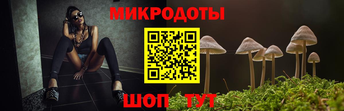 Норильск  Псилоцибиновые грибы Psilocybine cubensis  Вход с VPN 